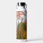 Fall in the Forest Water Bottle