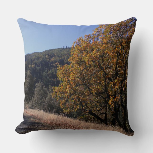 Fall in the mountains.... throw pillow (Front)