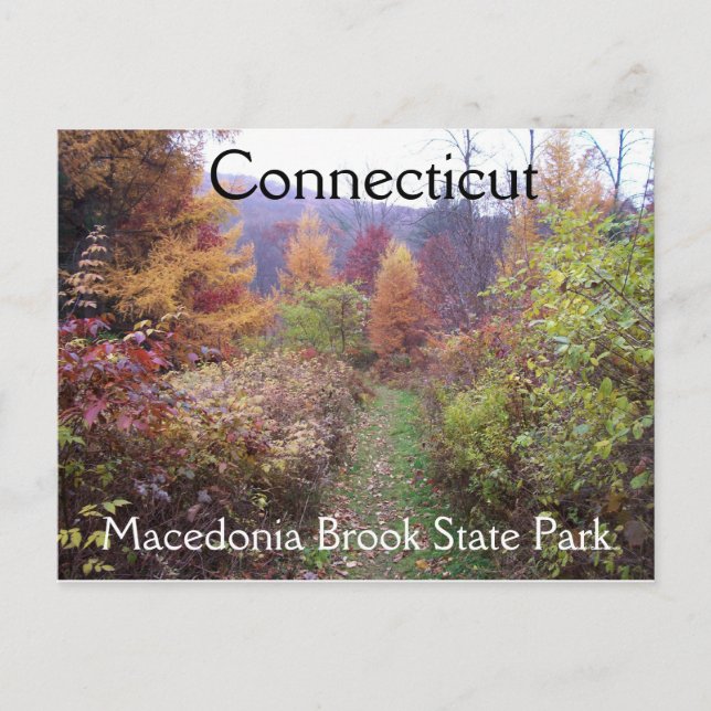 Fall in the Park Postcard (Front)