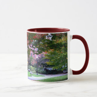 Fall in the Public Garden Mug