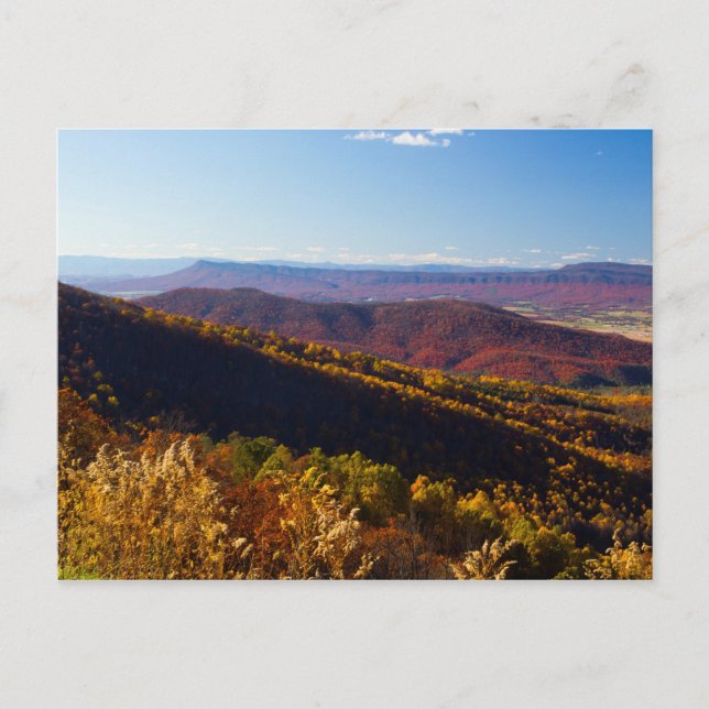 Fall in the Shenandoah Valley, Virginia Postcard (Front)