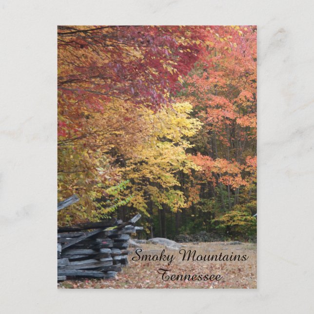 Fall in The Smoky Mountains Postcard (Front)