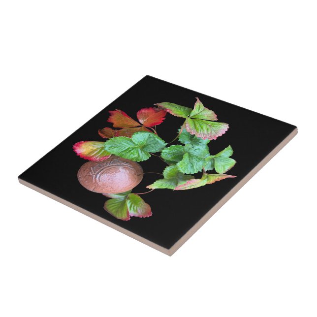 Fall Into Strawberry Season Backyard Garden Photo Ceramic Tile (Side)