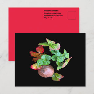 Fall Into Strawberry Season Backyard Garden Photo Postcard