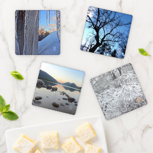 Fall into Winter Nature Acrylic Coaster Set