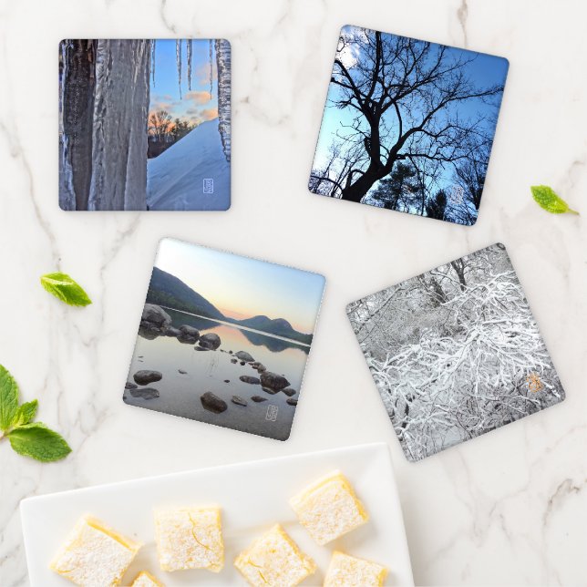 Fall into Winter Nature Acrylic Coaster Set (In Situ)