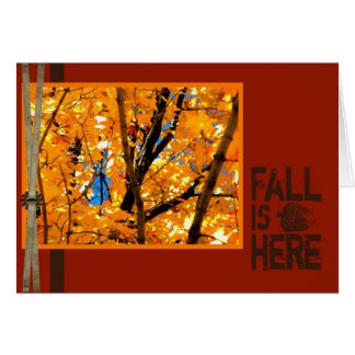 Fall is Here Cards