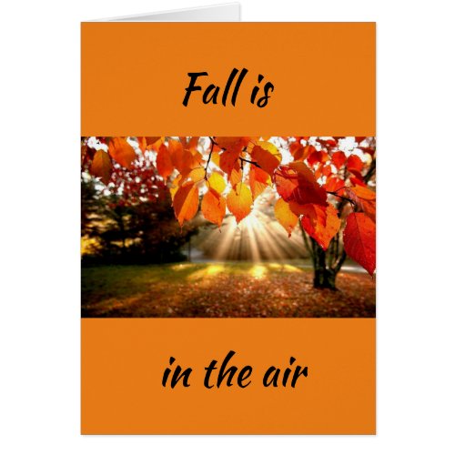 FALL IS IN THE AIRLOVE IS IN MY HEART