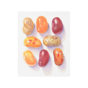 FALL JELLY BEANS 8x10 Metal Wall Art