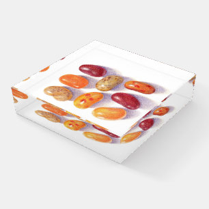FALL JELLY BEANS Paperweight