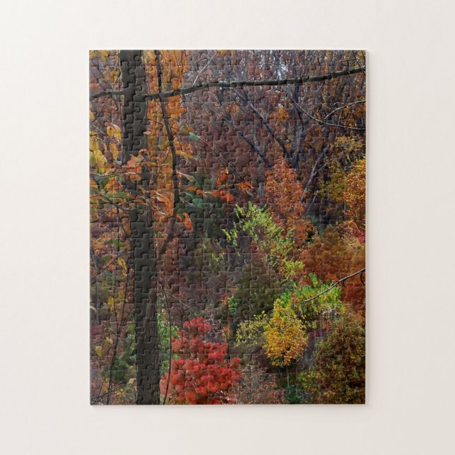 Fall Landscape in Arkansas Jigsaw Puzzel Puzzle (Vertical)