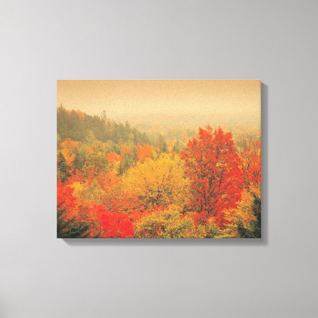 Fall landscape, New Hampshire, USA Canvas Print (Front)