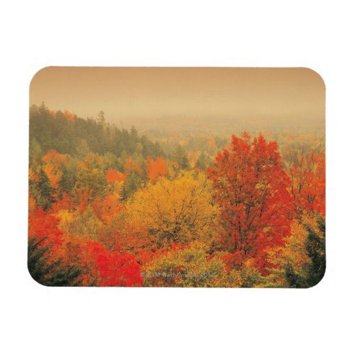 Fall landscape New Hampshire USA Magnet