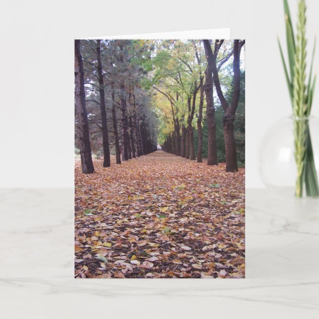 Fall lane card (Front)