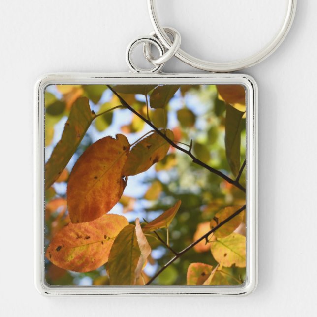 Fall Leaf Autumn Leaves Sky Nature Photography Keychain (Front)