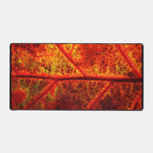 Fall Leaf Autumn Photo Desk Mat