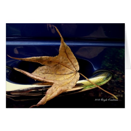 Fall leaf cards (Front Horizontal)