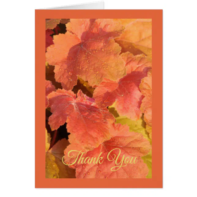 Fall Leaf Greeting Card | Zazzle