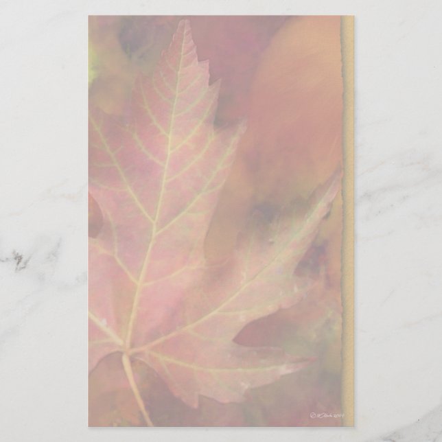 Fall Leaf-Stationary Stationery (Front)