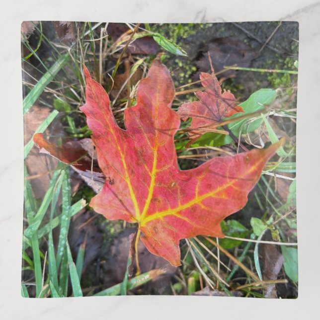 Fall leaf trinket tray (Front)