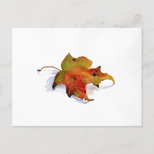 Fall Leaf Watercolor Postcard