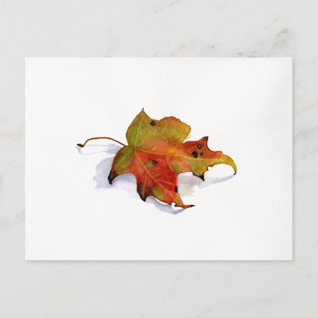 Fall Leaf Watercolor Postcard (Front)
