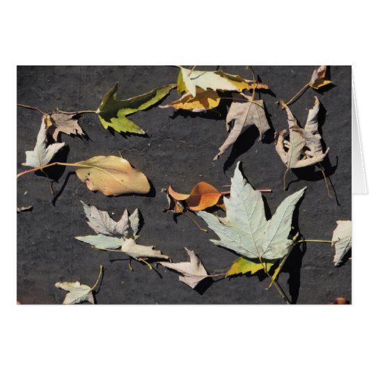 Fall Leaves 1 Cards (Front Horizontal)