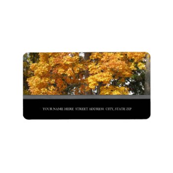 Fall Leaves Address Labels by lifethroughalens at Zazzle