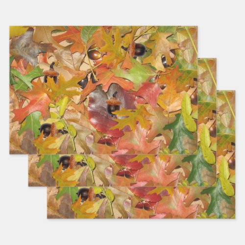 Fall Leaves and Acorns Wrapping Paper Sheets