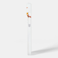 Fall | Leaves and Pumpkins