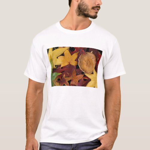 Fall leaves and toadstool T_Shirt