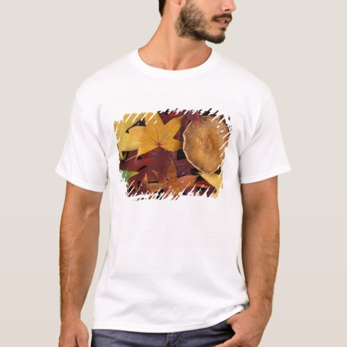 Fall leaves and toadstool T_Shirt