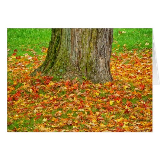 Fall Leaves Around Tree Cards (Front Horizontal)