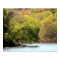 Fall Leaves - Autumn Beauty Poster