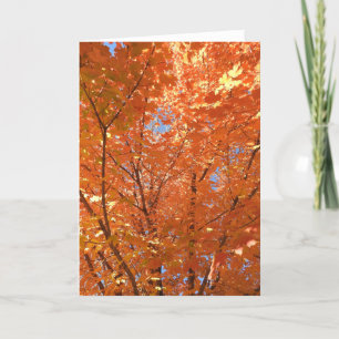 Fall Leaves Autumn Blessings Blank Card