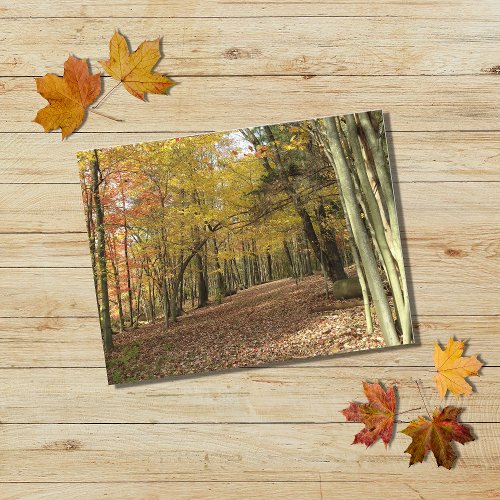 Fall Leaves Autumn Foliage Photo Holiday  Postcard