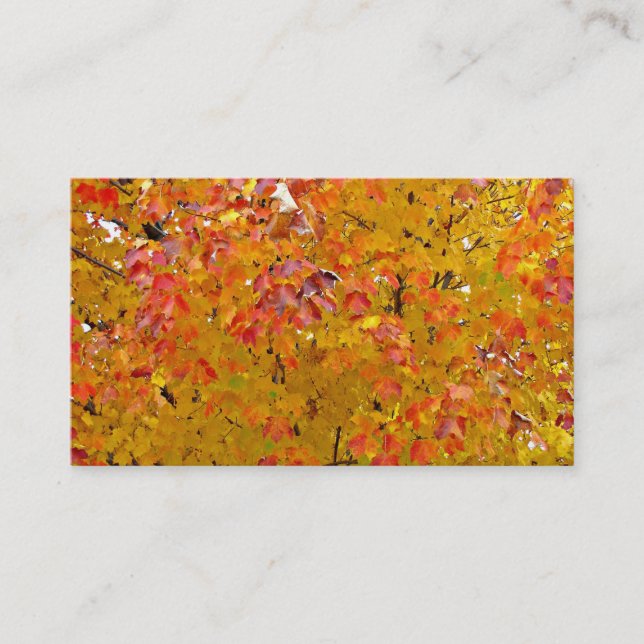Fall Leaves Business Cards, Autumn Leaves, Nature Card (Front)