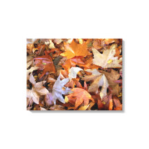 Fall Leaves Canvas Wall Art