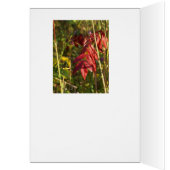 Fall Leaves Cards (Inside (Left))