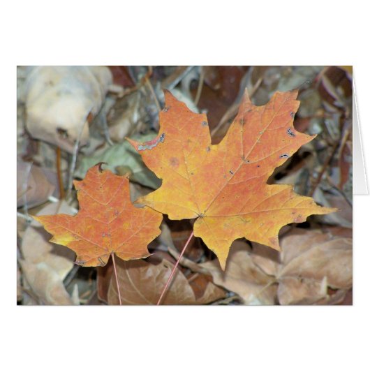 Fall Leaves Cards (Front Horizontal)