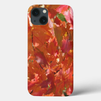 Fall Leaves iPhone 13 Case