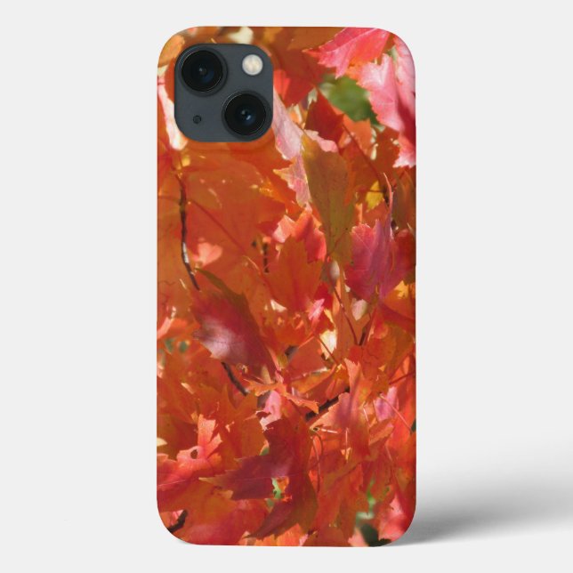 Fall Leaves Case-Mate iPhone Case (Back)