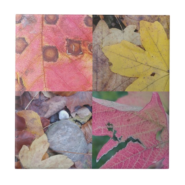 Fall leaves ceramic tile (Front)