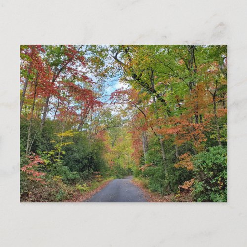 Fall Leaves Colorful Postcard