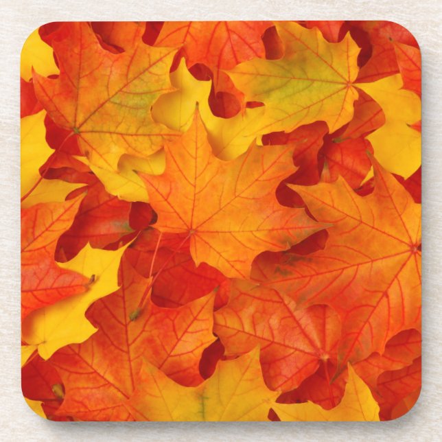 Fall Leaves Drink Coaster (Front)