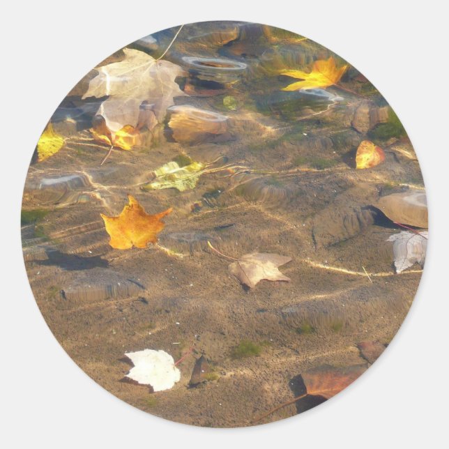 Fall Leaves in Pond Water Nature Photography Classic Round Sticker (Front)