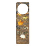 Fall Leaves in Pond Water Nature Photography Door Hanger