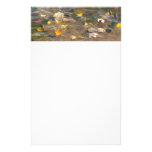 Fall Leaves in Pond Water Nature Photography Stationery