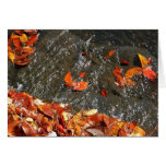 Fall Leaves in Waterfall I Autumn Photography