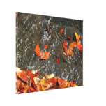Fall Leaves in Waterfall I Autumn Photography Canvas Print
